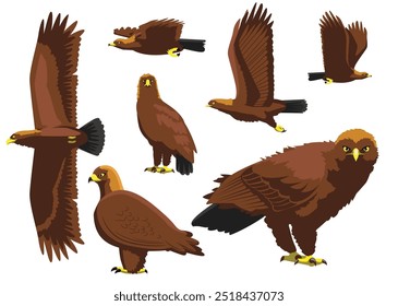 Golden Eagle Various Poses Cartoon Vector Illustration