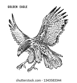 Golden eagle. Wild forest bird of prey. Hand drawn sketch graphic style.  Fashion patch. Print for  t-shirt, Tattoo or badges.