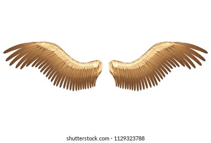 golden eagle wings