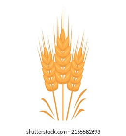 Golden ear of wheat, grains for making flour, baking bread and other food. Vector flat illustration
