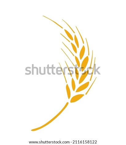 Golden ear of wheat isolated on white background. Simple vector illustration. Cereal, flour products, pastries, bread.