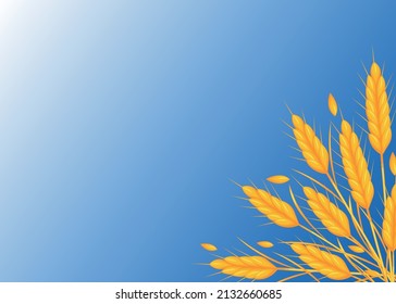 Golden ears against the blue sky. Background. There is free space for text. Vector illustration.