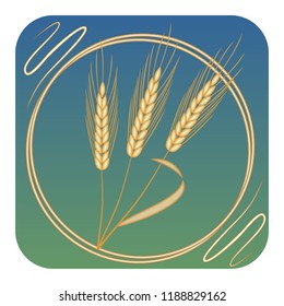 Golden ears of corn stylized in a circular frame on a green-blue background. Three barrels of barley, a raw material for brewing beer
