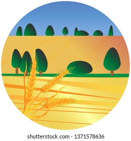 Golden ears of wheat on the background fields and trees.