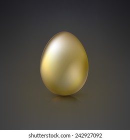 Golden Egg with glare and reflections on dark background.
