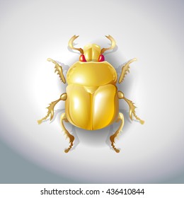 Golden Egyptian beetle insect jewel jewelry product in the form of a golden beetle. Vector photorealistic illustration of isolated on white background.