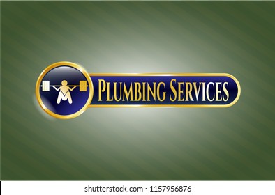  Golden emblem or badge with deep squat icon and Plumbing Services text inside