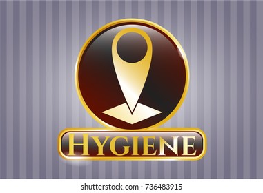  Golden emblem or badge with map pointer icon and Hygiene text inside