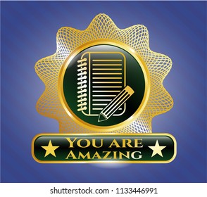  Golden emblem or badge with notebook with pencil icon and You are Amazing text inside