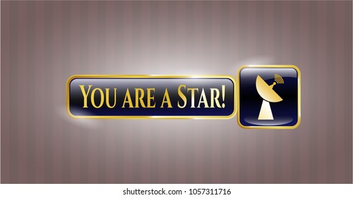  Golden emblem or badge with radar icon and You are a Star! text inside