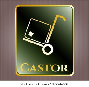  Golden emblem with cargo icon and Castor text inside
