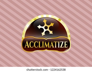  Golden emblem with ninja star icon and Acclimatize text inside