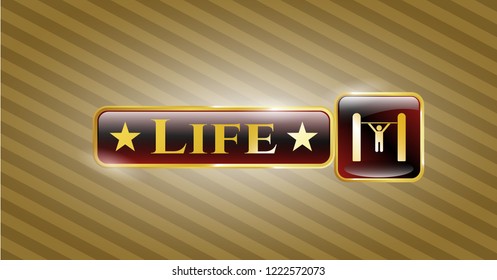  Golden emblem with pull up icon and Life text inside