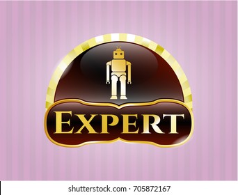  Golden emblem with Robot icon and Expert text inside