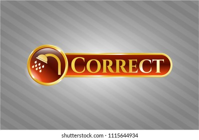                                Golden emblem with shower icon and Correct text inside                                           