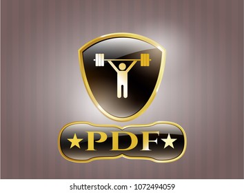   Golden emblem with weightlifting icon and PDF text inside
