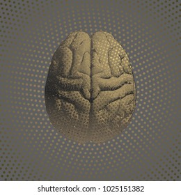 Golden engraving brain top view illustration with glowing dots isolated on gray background