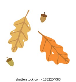Golden fallen oak autumn seasonal leaves from trees