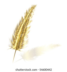 golden feather