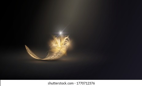 Golden Feather Of A Bird Or Angel In The Dark, Glamor And Elegance