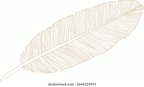 Golden feather outline floats against clean white backdrop minimalism detail
