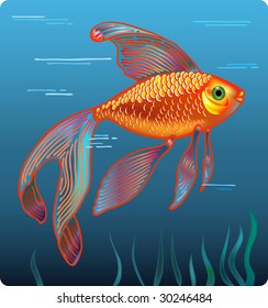 Golden fish