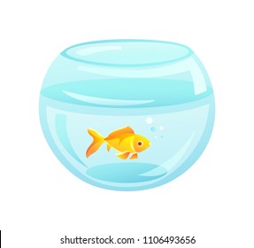 Golden fish in aquarium of rounded shape, golden fish domestic pet in fishbowl, bowl and bubbles vector illustration isolated on white background