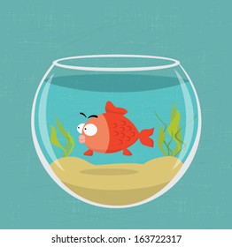 Golden fish in a bowl.