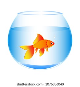 Golden fish in an empty aquarium vector illustration isolated on white