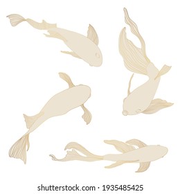 Golden fish set, hand drawing. Beautiful Japanese Koi carps fish on a white background. Fish for tattoo or wallpaper. 