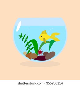 Golden fish in a small aquarium with plants and stones