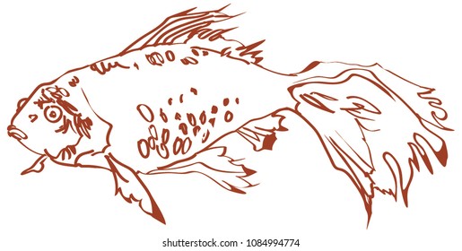 golden fish vector drawing