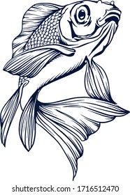 Golden fish vector illustration, hand painted drawing of outline isolated on white background