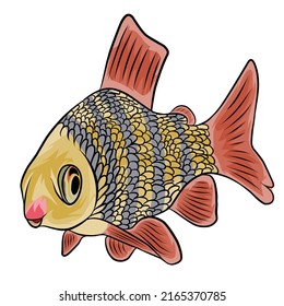 Golden fish vector White background