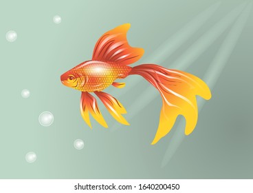 golden fish in the water with bubble and light