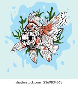 Golden fish in water