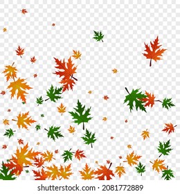Golden Floral Background Transparent Vector. Foliage Wallpaper Template. Orange Ground. Logo Card. Colorful Plant Isolated.