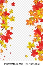 Vector transparente de fondo floral dorado. Plantilla de hoja de noviembre. Foliage de árbol marrón. Diseño de la planta en septiembre.