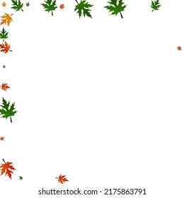 Golden Floral Background White Vector. Plant Logo Texture. Green October. Nature Frame. Brown Maple Down.