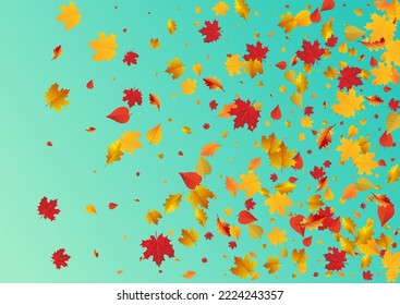 Golden Floral Vector Blue Background. Shape Foliage Design. Brown Collection Leaf Texture. Down Card.