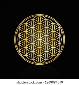 Golden Flower of Life, used for decoration or golden pendant. Geometrical symbol on black background.
