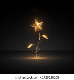 Golden Flower With Star On Black Background