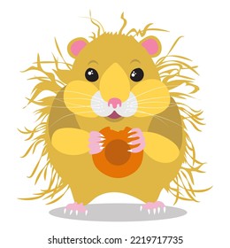 Golden fluffy hamster eating a piece of carrot. Cute drawn pet. Flat vector illustration isolated on white background.
