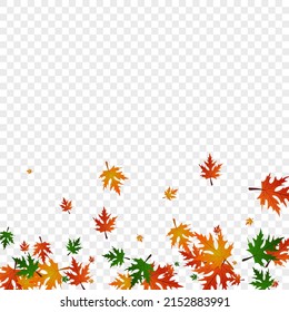 Golden Foliage Background Transparent Vector. Leaves November Template. Brown Flag. Autumn Pattern. Yellow Plant Canada.