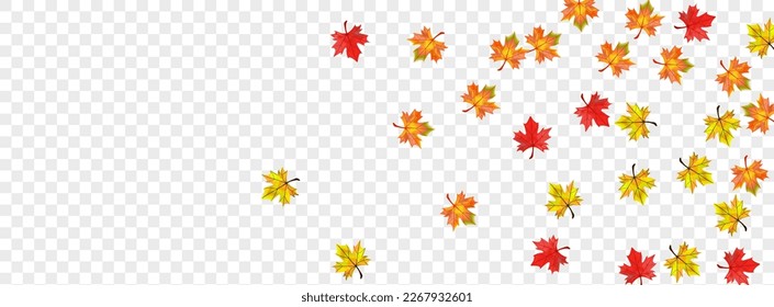 Golden Foliage Background Transparent Vector. Leaves Decoration Illustration. Yellow Realistic Plant. Nature Leaf Design.