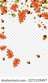 Golden Foliage Background Transparent Vector. Oak Collection Texture. Green Plant. Symbol Design. Yellow Acorn Landscape.