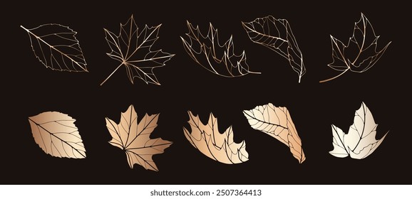 Golden foliage on a black background. Contour of leaves of maple, oak, other trees