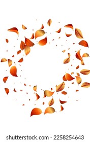 Golden Foliage Organic Vector White Background Pattern. Herbal Leaf Banner. Red Leaves Tree Backdrop. Solar Wind Poster.