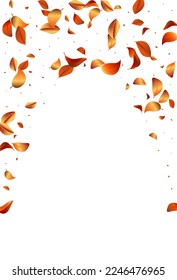 Cartel de fondo blanco del vector del follaje dorado. Fondo De Hoja De Viento. El diseño de las hojas de naranjo es herbal. Plantilla de vuelo solar.