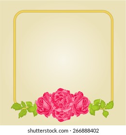 Golden frame with pink roses greeting card festive background place for text vector illustration